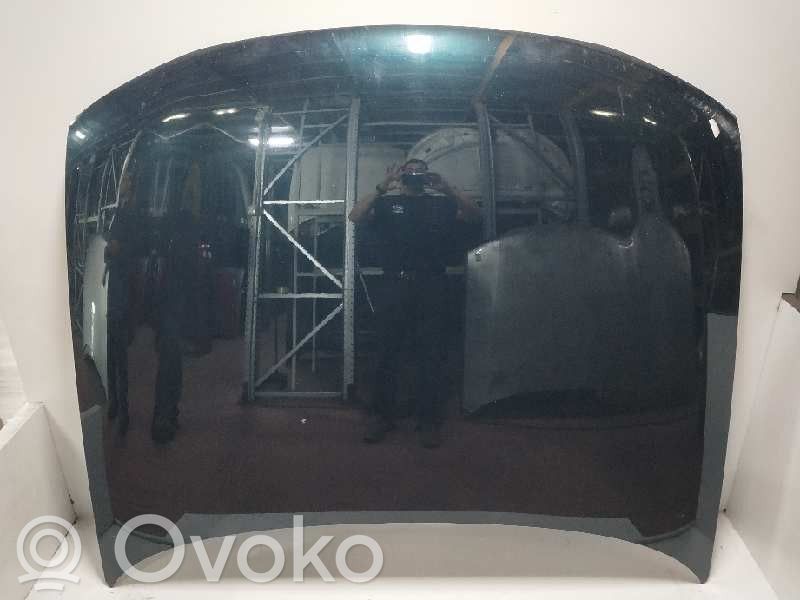 Engine bonnet/hood