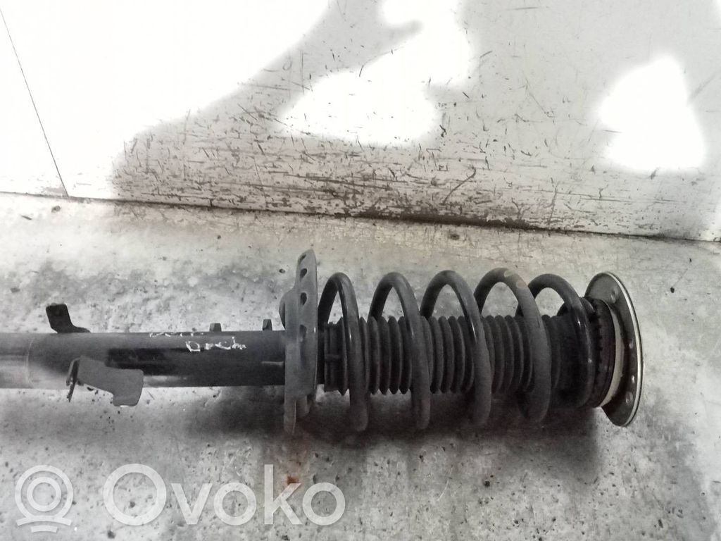 Land Rover Freelander Amortyzator osi przedniej ze sprężyną 