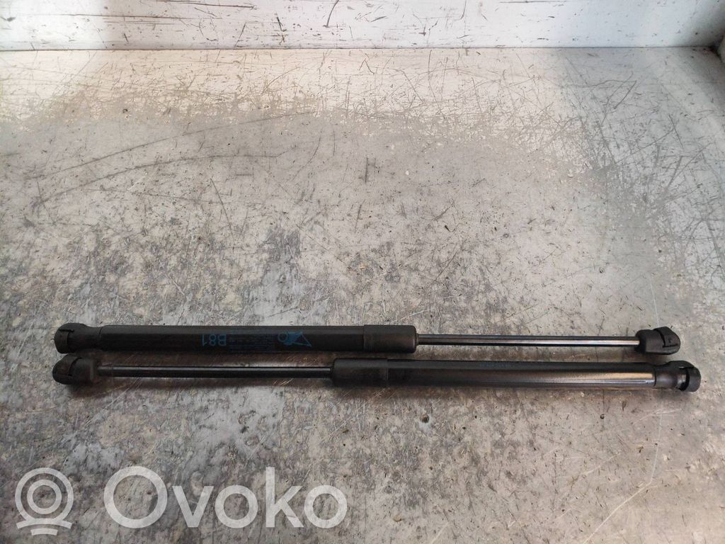 Tailgate/trunk strut/damper   9686809480