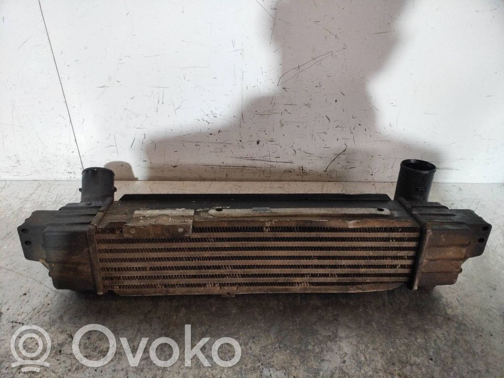 Interkūlerio radiatorius   281904A160