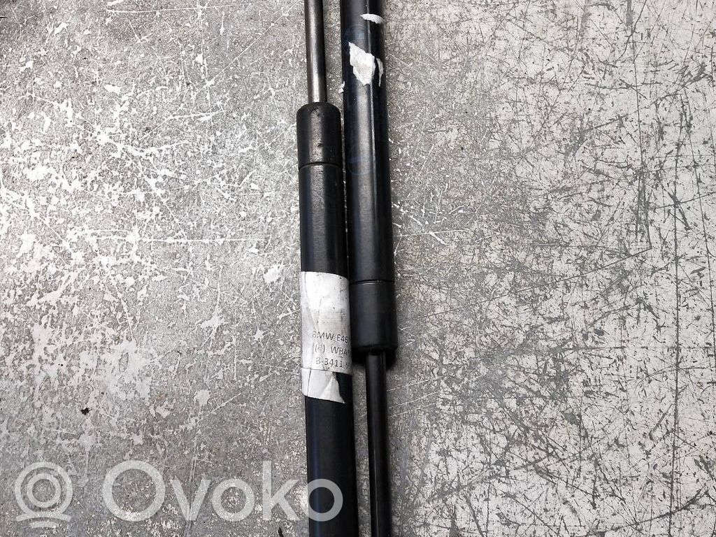 Tailgate/trunk strut/damper   51248254281,320N