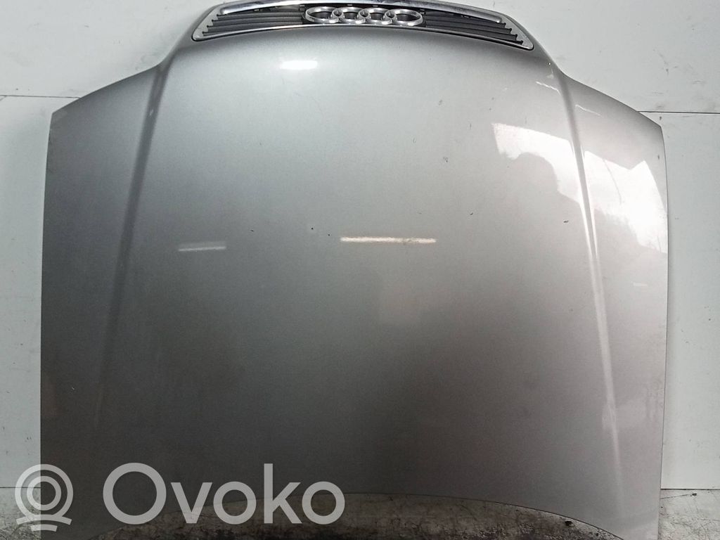 Dzinēja pārsegs (vāks)