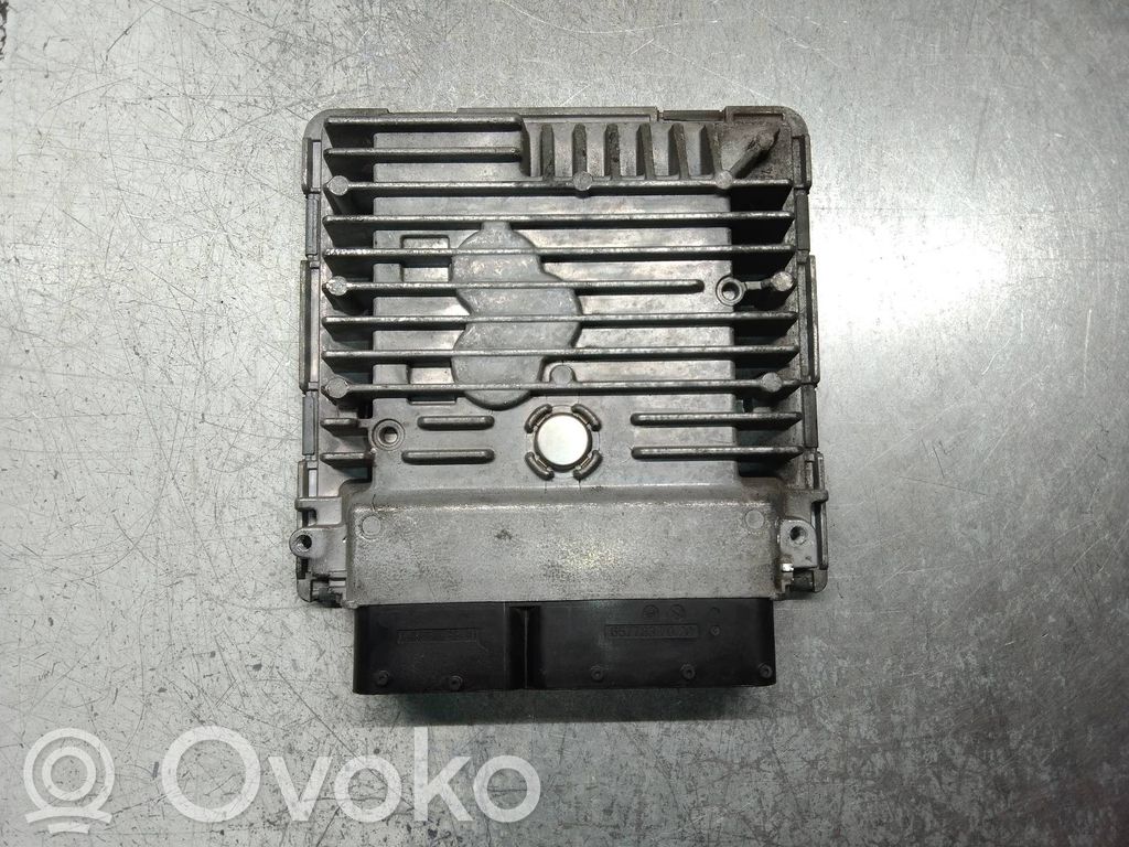 Seat Ibiza III (6L) Engine control unit/module 