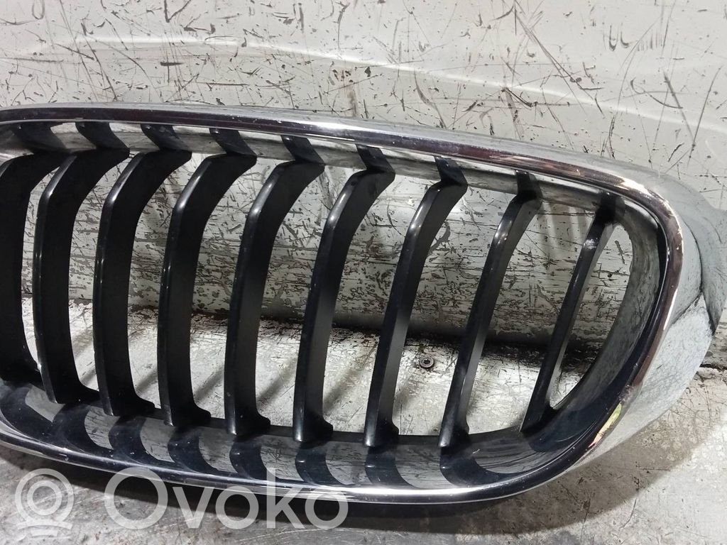 Grotelės priekinės   7294803