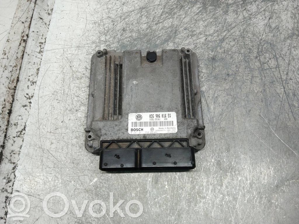 Engine control unit/module   0281011950,03G906016EG,EDC16U1