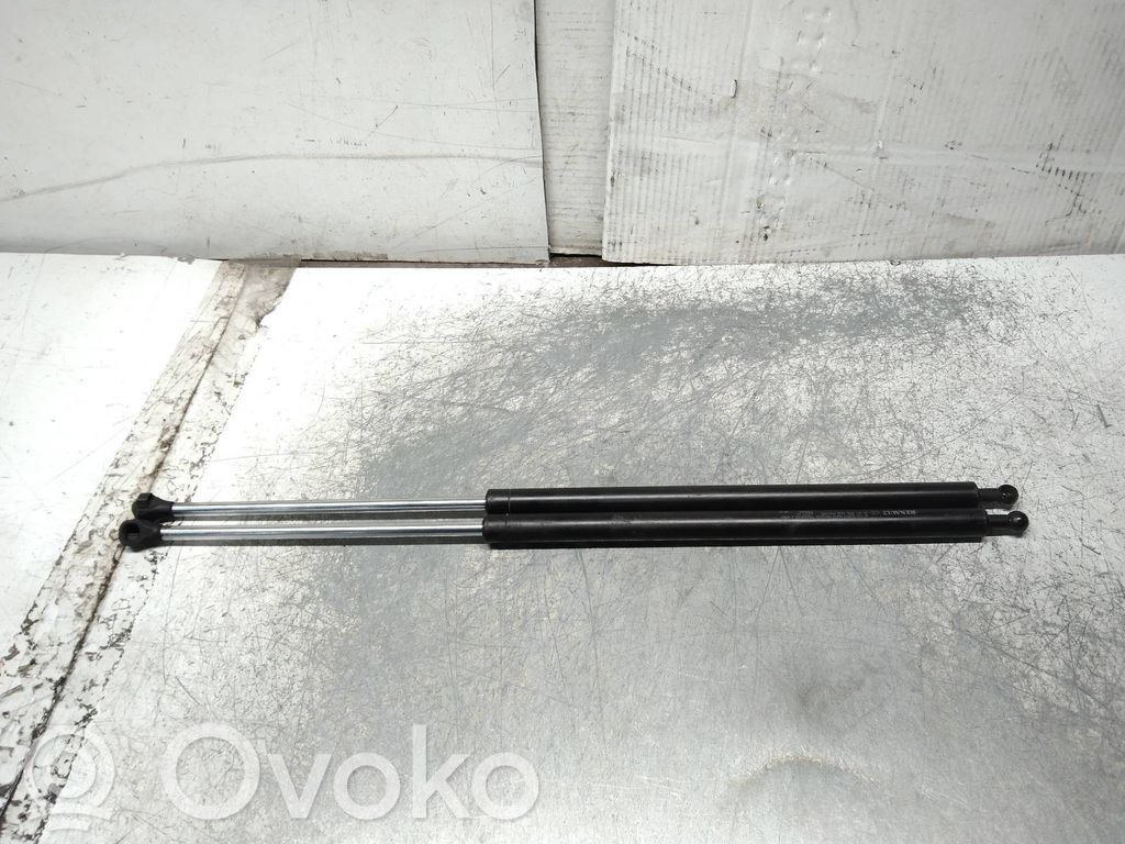 Tailgate/trunk strut/damper   500N