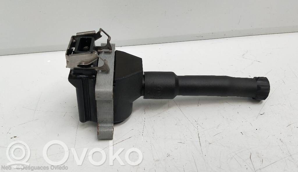 High voltage ignition coil   1731134