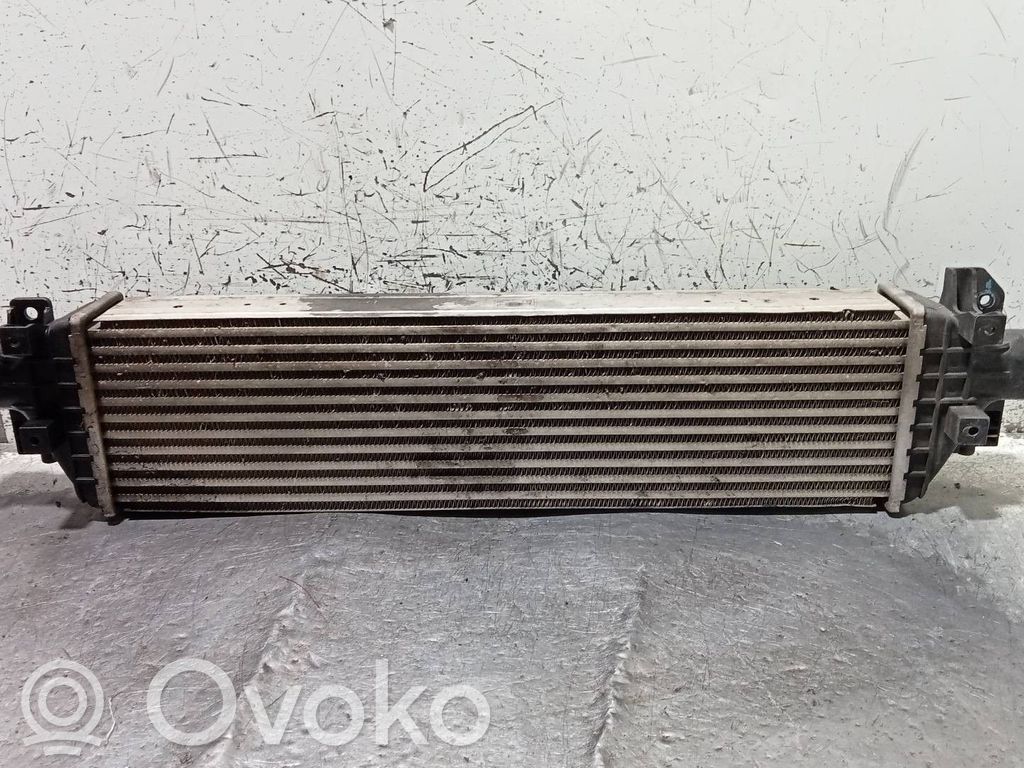 Interkūlerio radiatorius   95081734