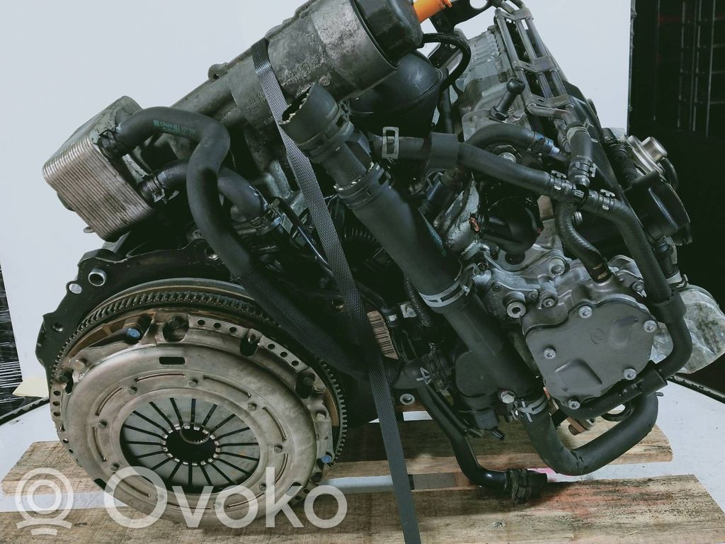 Seat Ibiza III (6L) Silnik 