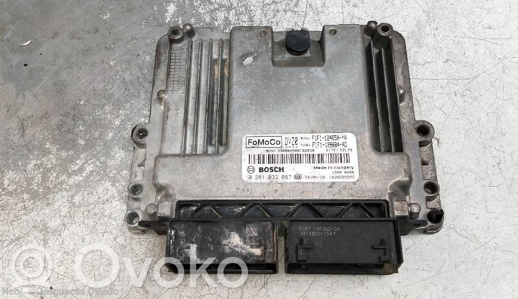 Ford Focus Engine control unit/module 