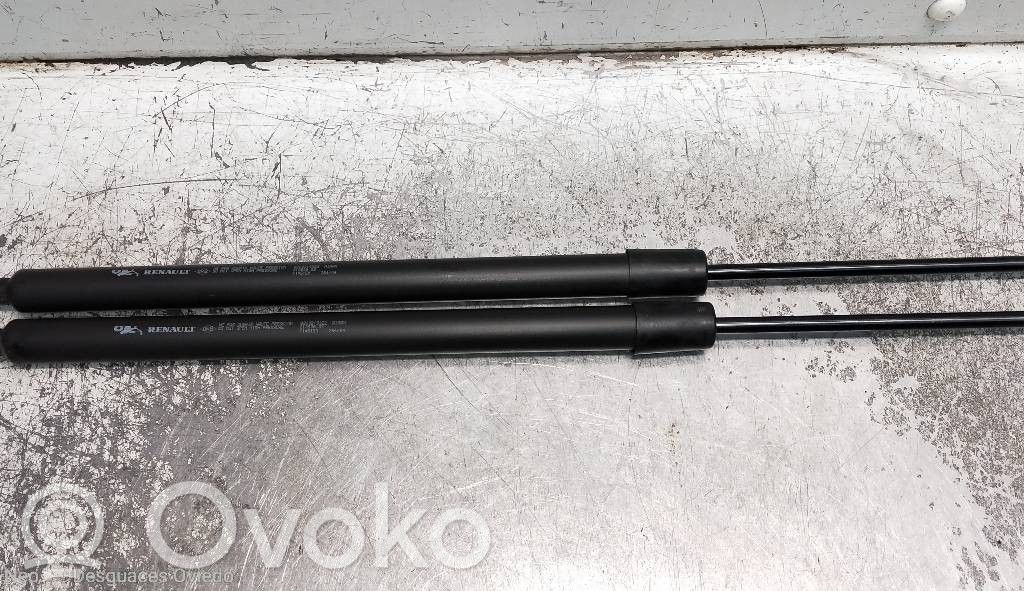 Tailgate/trunk strut/damper   8200219322