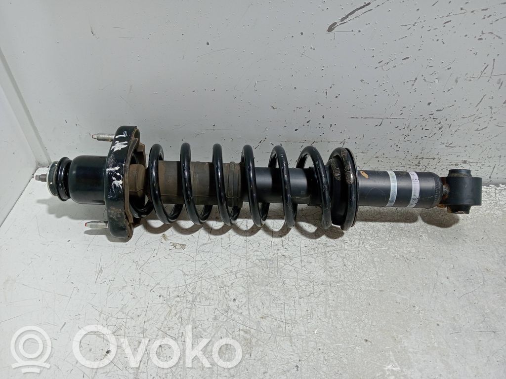 Stoßdämpfer hinten   4162A496