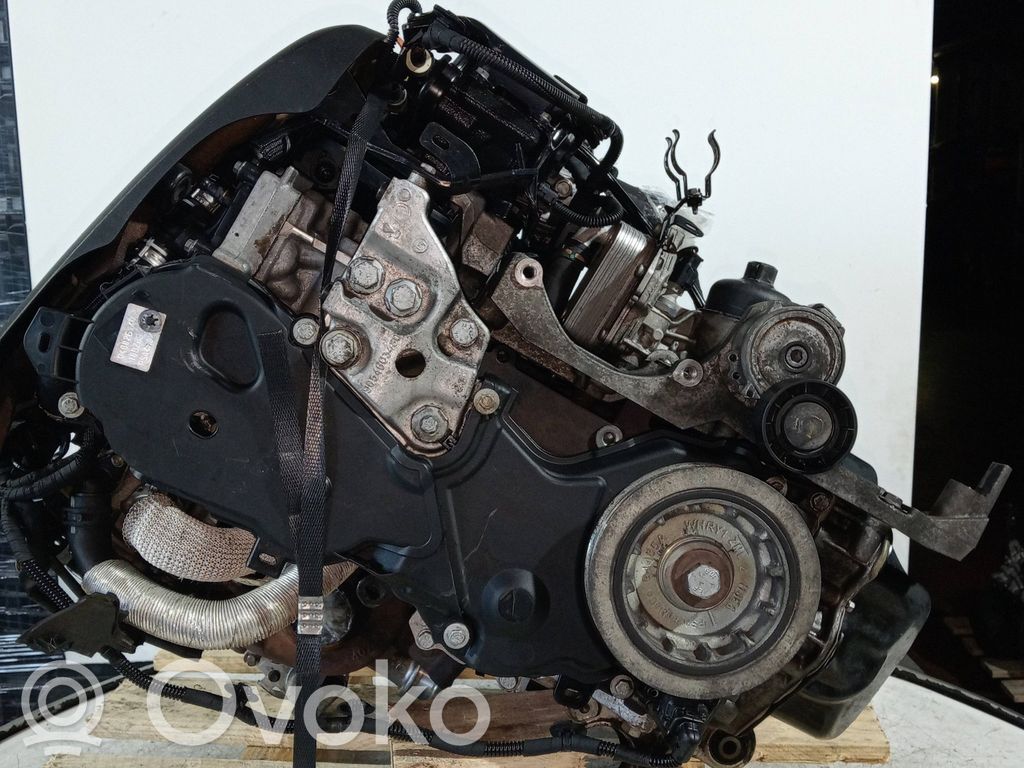 Engine   4H02,10D8864002614