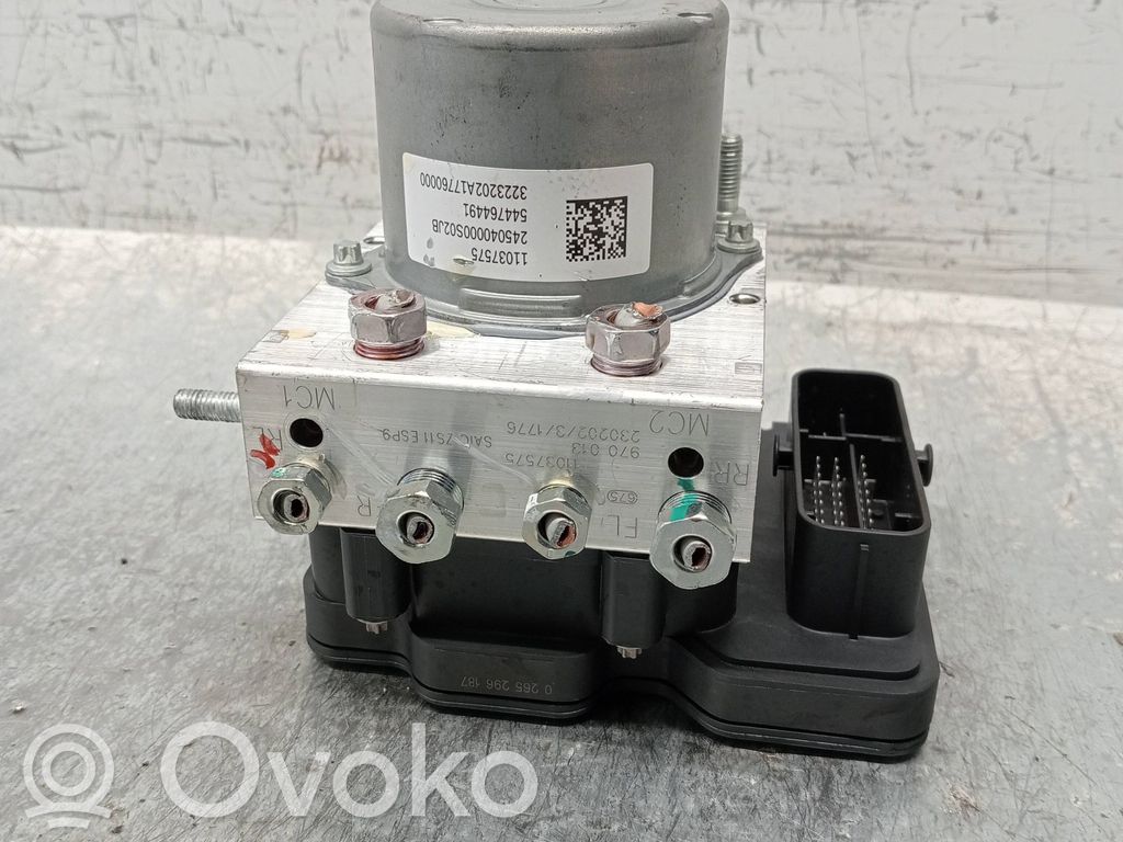 ABS Pump   11037575,0265956499