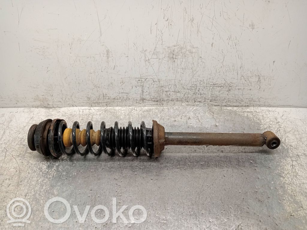 Stoßdämpfer hinten   13G