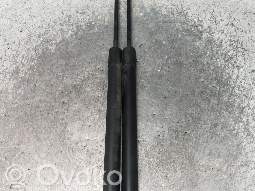 Volkswagen Tiguan Amortizor hayon 