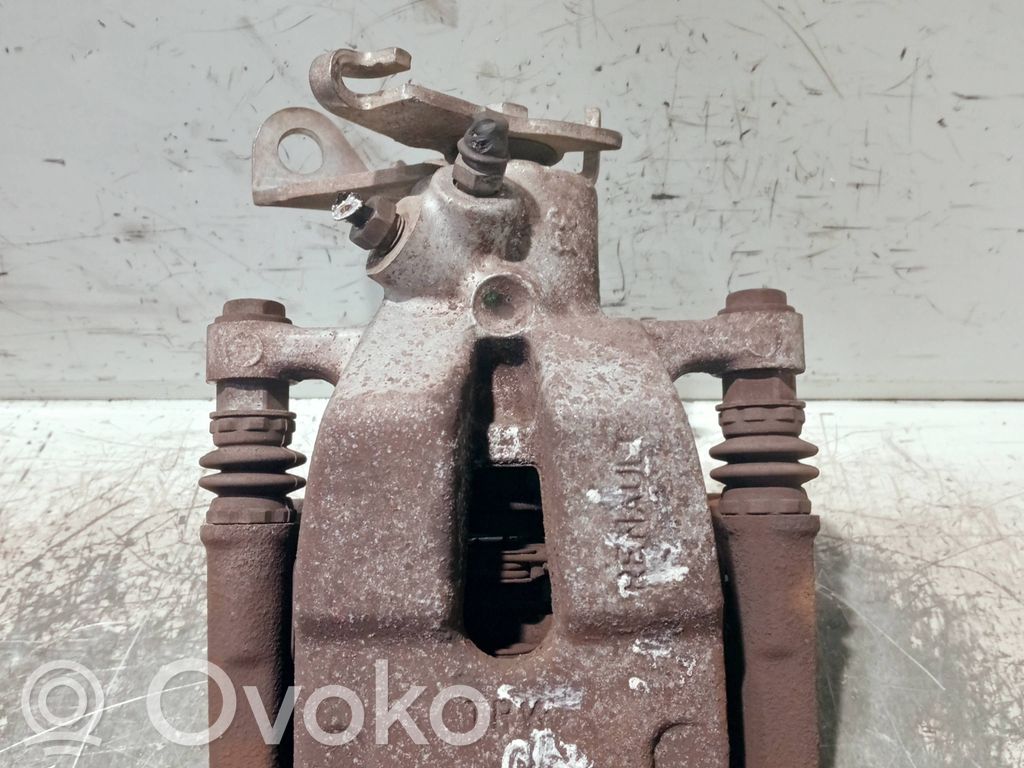 Takajarrusatula   16G