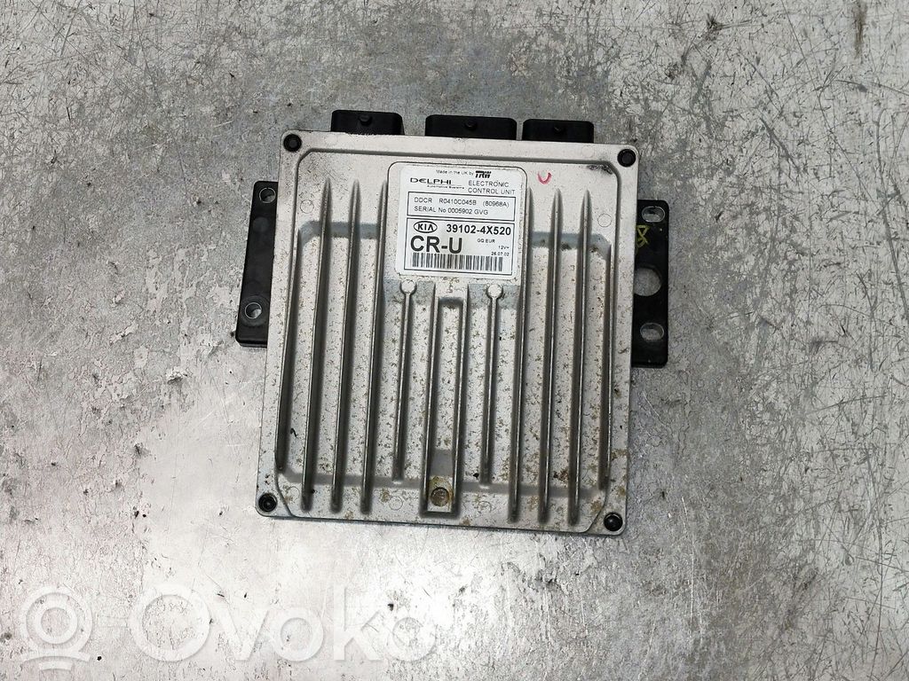 KIA Carnival Engine control unit/module 