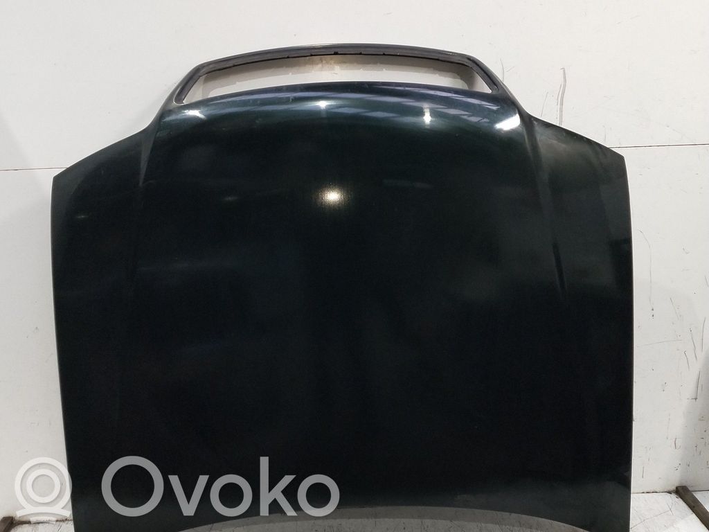 Engine bonnet/hood