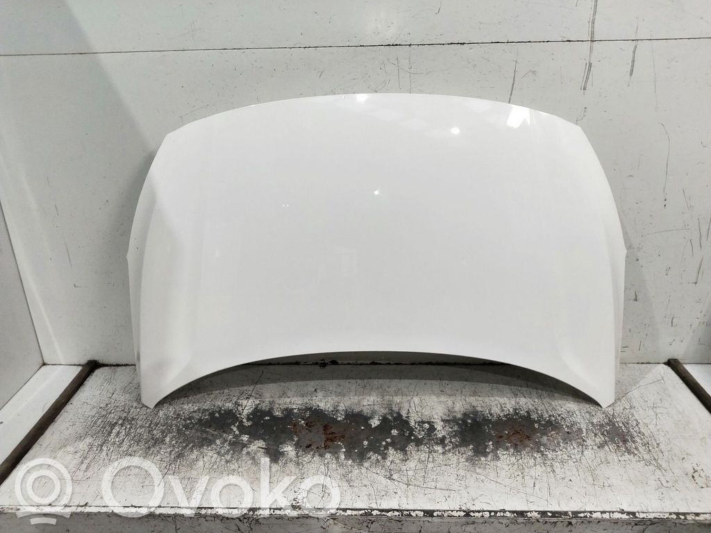 Engine bonnet/hood