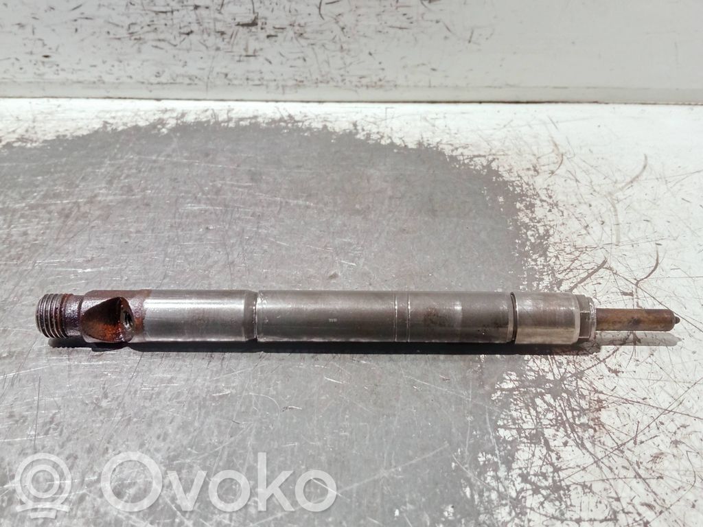 Fuel injector   TJBB02201D,DELPHI