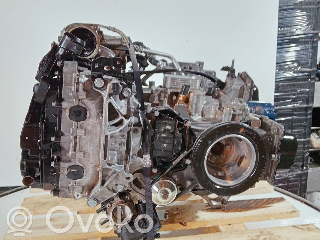 Variklis   HN05,025949110Z1AF