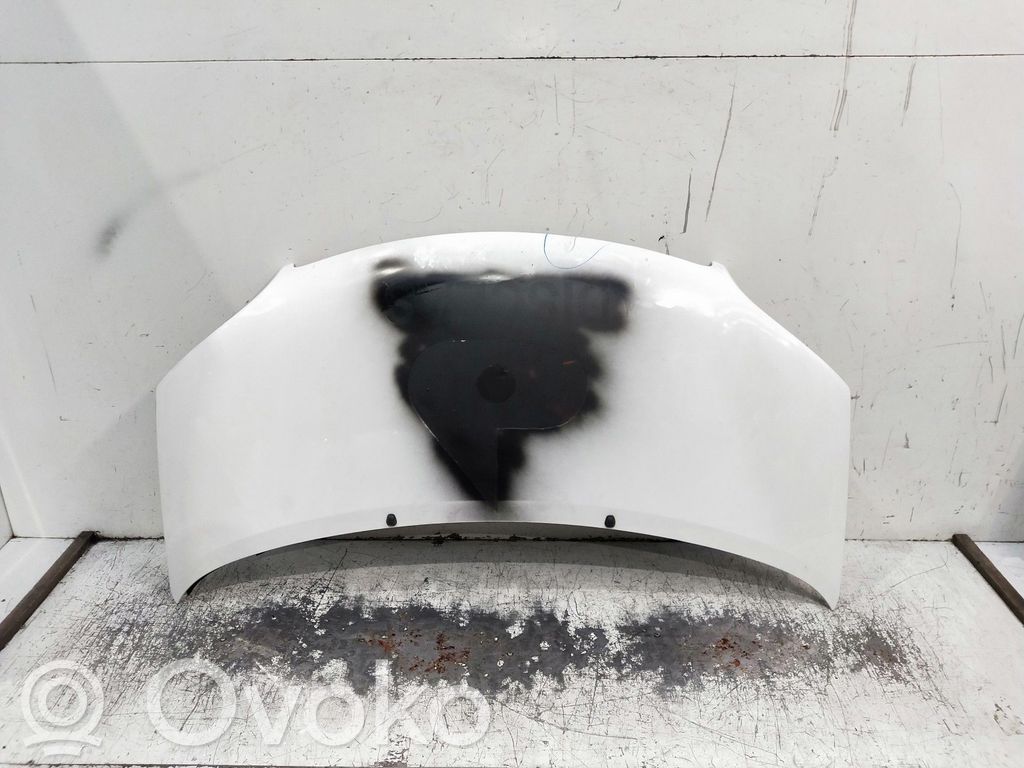 Engine bonnet/hood   OJOVERFOTOS