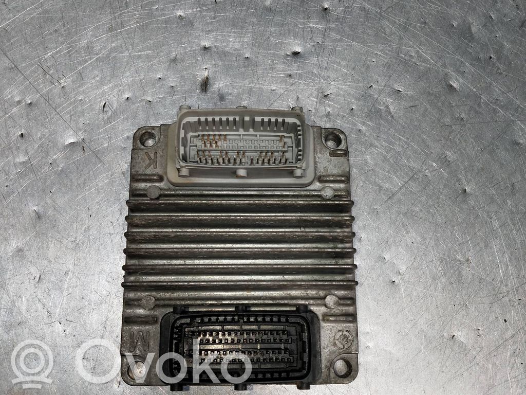 Chevrolet Aveo Engine control unit/module 
