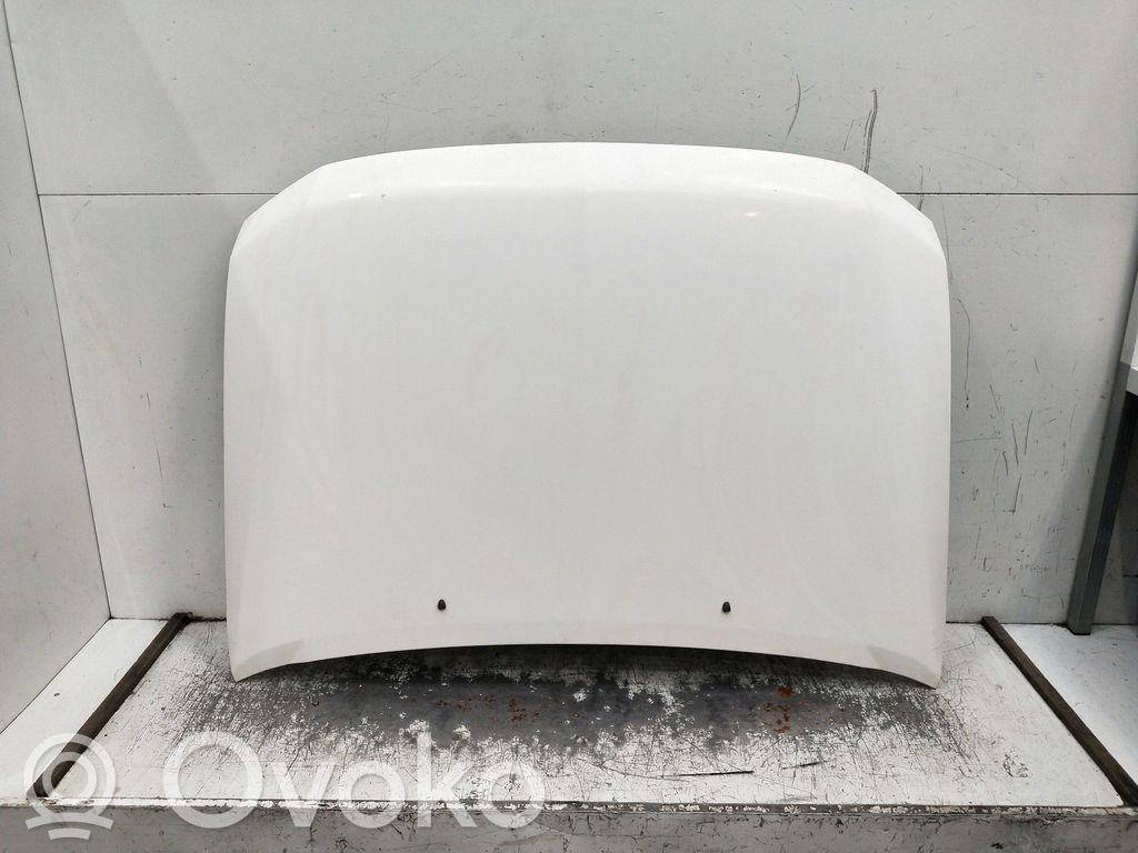 Dzinēja pārsegs (vāks)