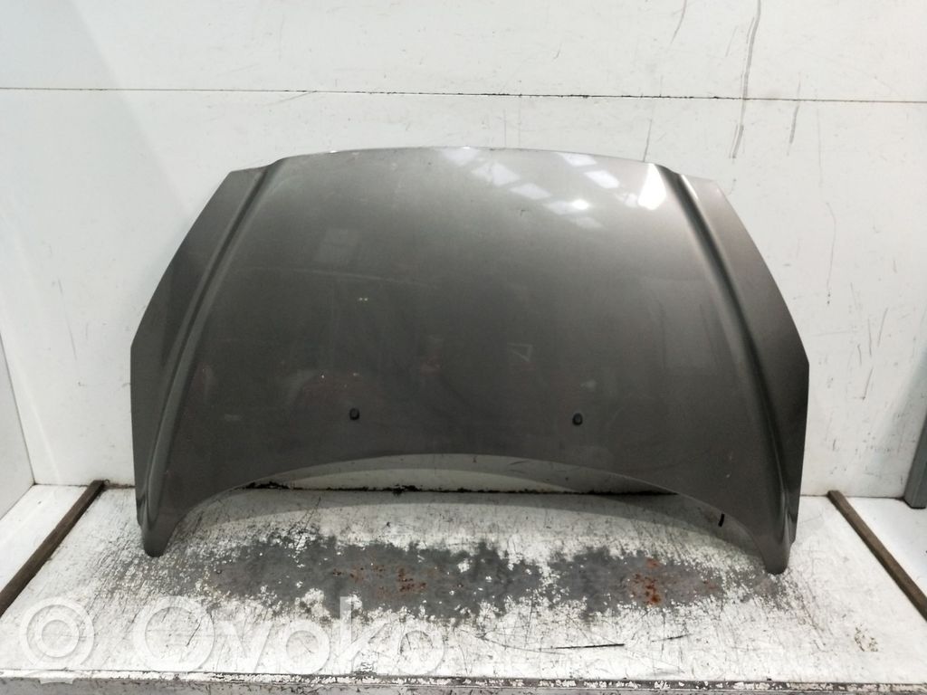 Capó/tapa del motor
