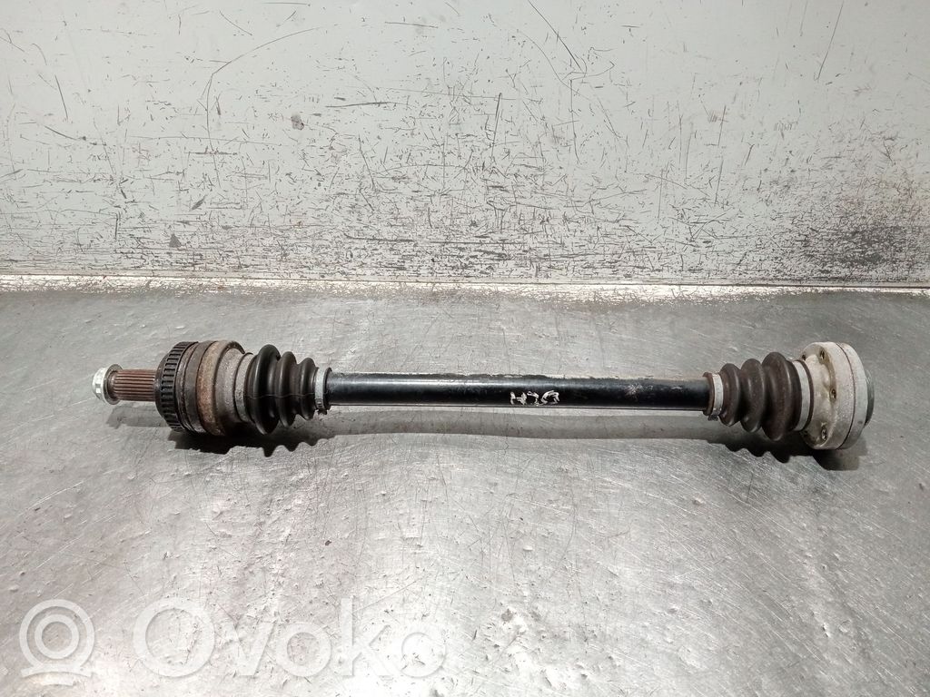 Galinis pusašis   1229494