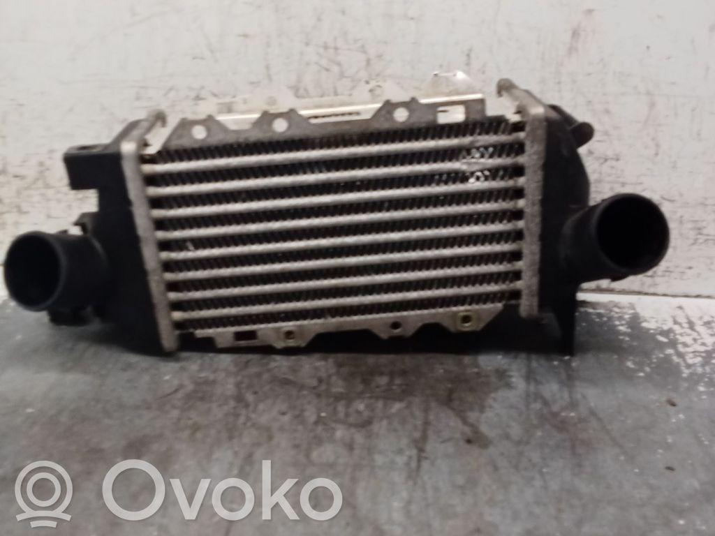 Intercooler radiator   52475657,20D