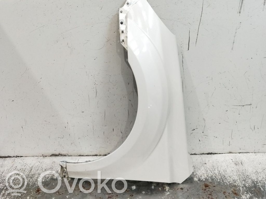 Fender