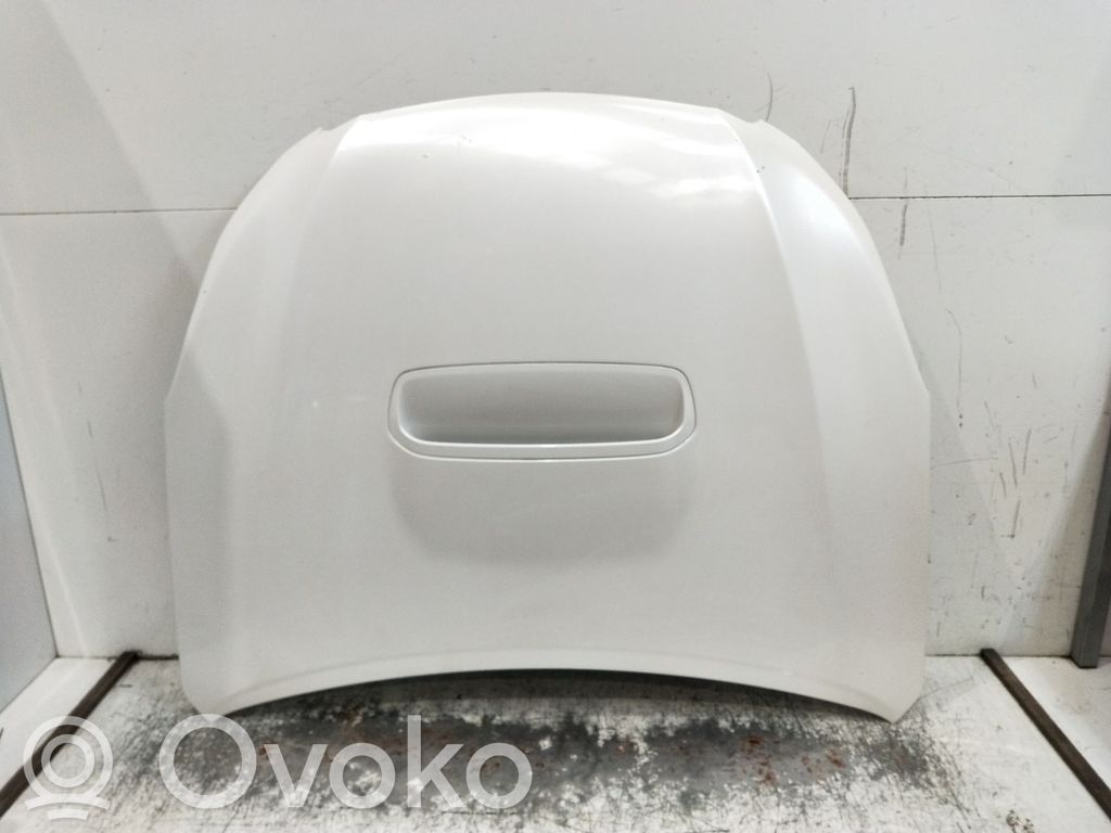 Engine bonnet/hood