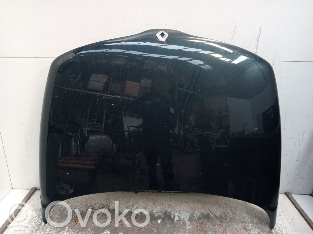 Engine bonnet/hood