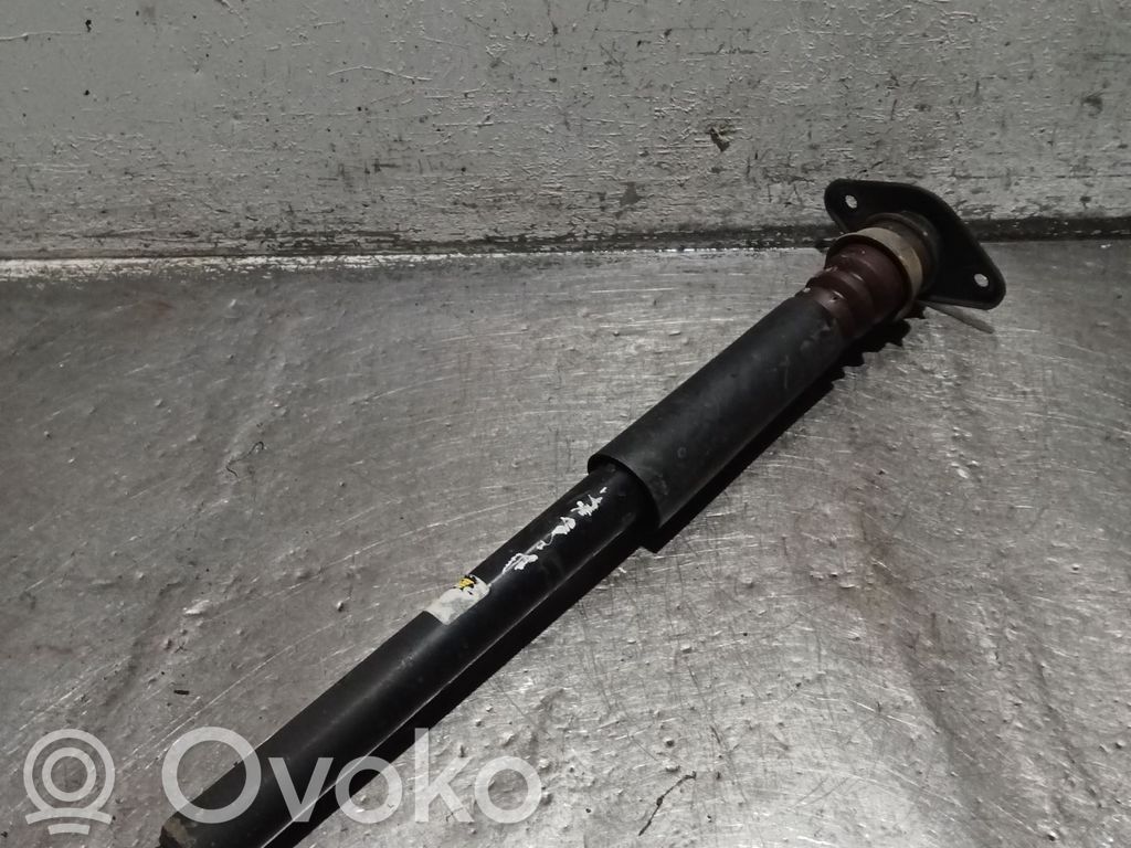 Stoßdämpfer hinten