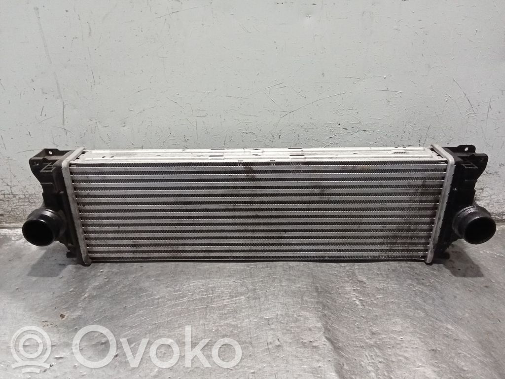 Mercedes-Benz Sprinter W906 Radiatore intercooler 