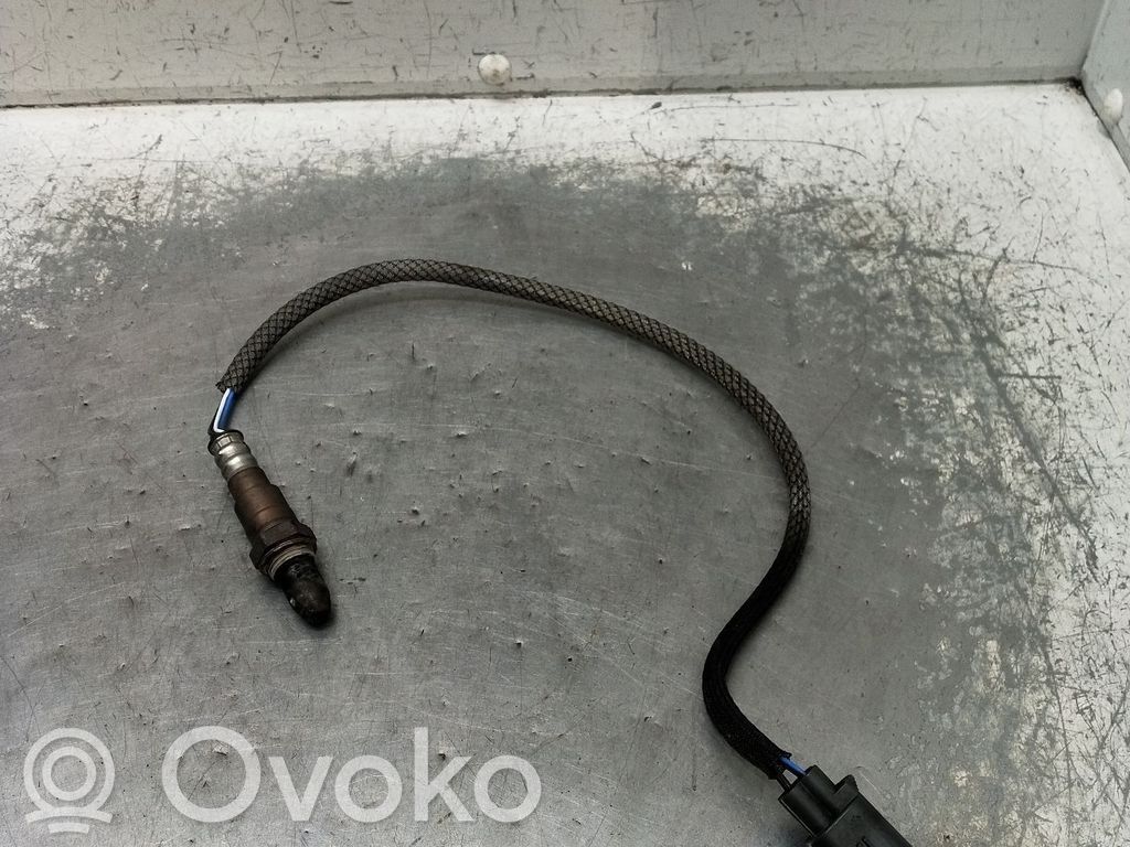 Lambda zondas   31480948,20D