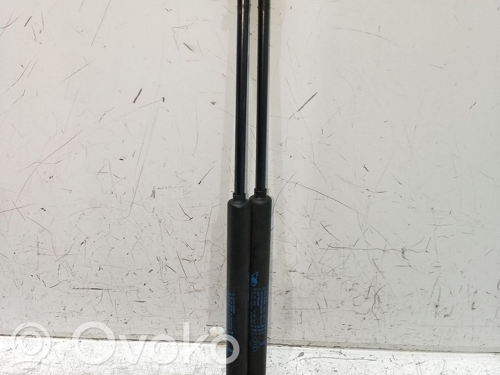 Renault Twingo II Ammortizzatore portellone posteriore/bagagliaio 