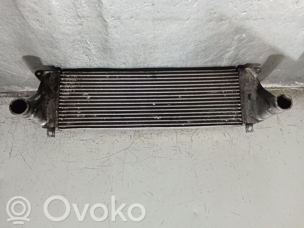 Land Rover Range Rover P38A Starpdzesētāja radiators 