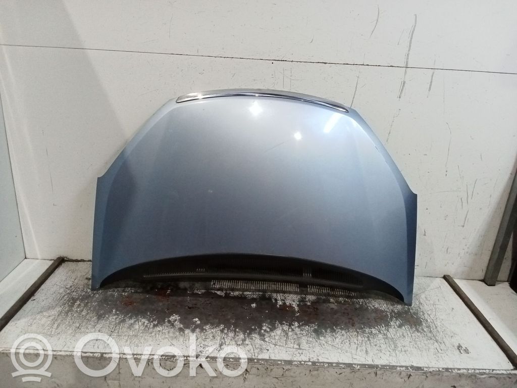 Motorhaube