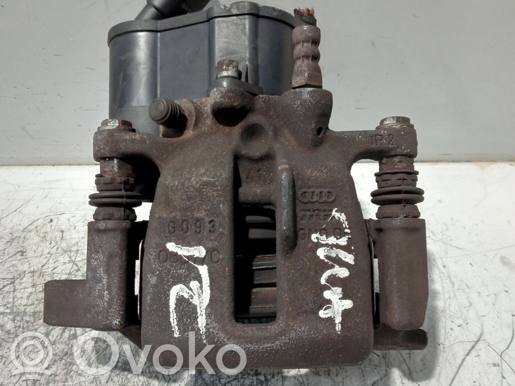 Takajarrusatula   08677C,32329695