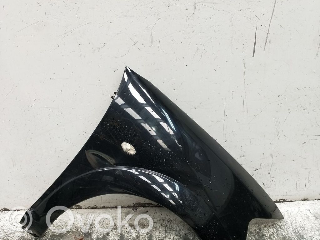 Fender