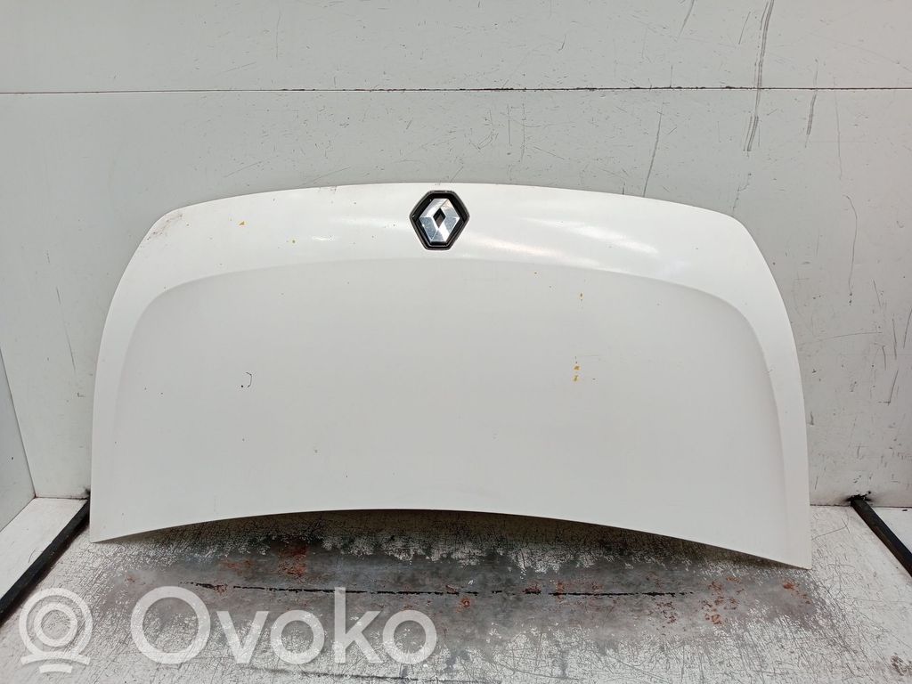 Vano motore/cofano