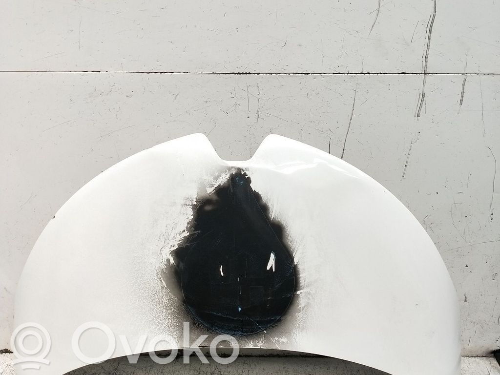 Engine bonnet/hood