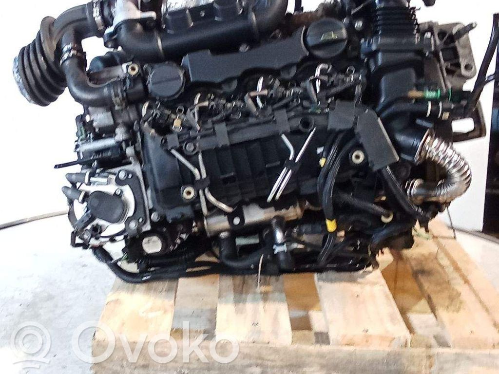 Ford Focus Motore