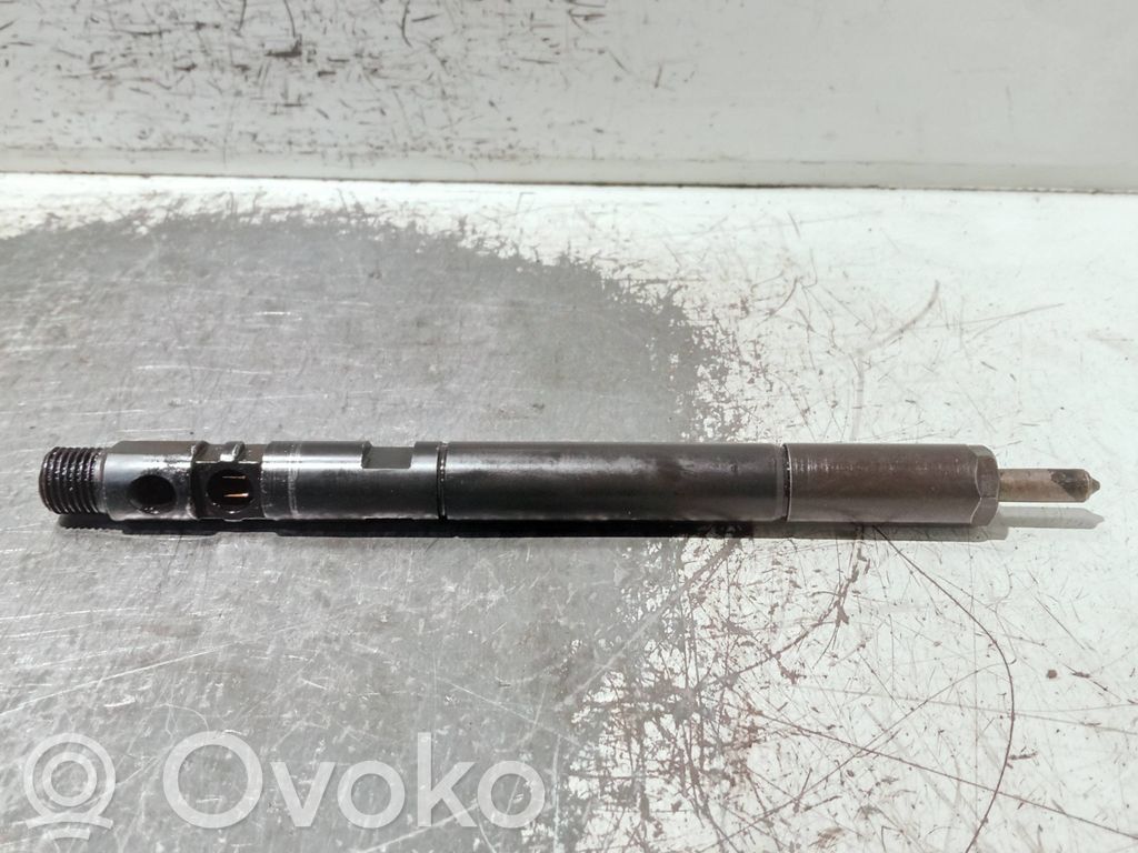 Jaguar X-Type Injector combustibil 