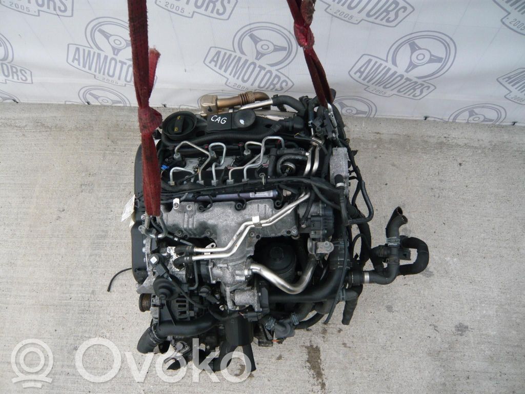 Motor