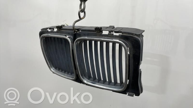 Front grill   51131973825