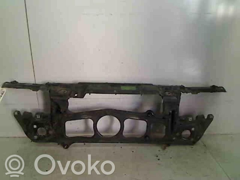 Radiatoru panelis   51718159610